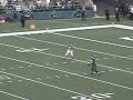 Nate Burleson Punt Return