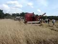 Claas Deutz fahr MC Cormick Trekkerweb