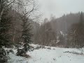 Click here to watch this video Snowfall in Slovakian moutains