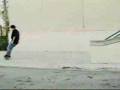 bam margera in adio video