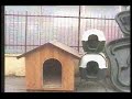 24 min. - periferie - seconda parte