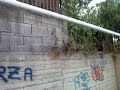 Petralia il fenomeno!!!