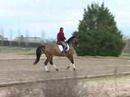 PLR Patrick LE ROLLAND - Leçon 3/6 Dressage Cheval Horse