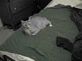 Snafu under wraps