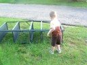 A Steely Family Video