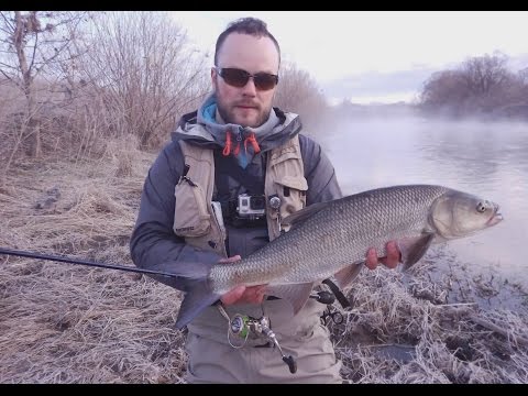 прогноз клева на малых реках прогноз клева на малых реках