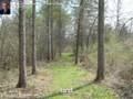 Spear St Lot 3, Shelburne,VT