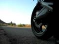Ducati Monster 696: Termignoni CF Exhaust