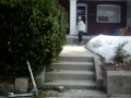 funny bail
