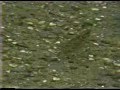 Underneath The Water; Surahoolies