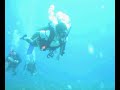 Curso de buceo Open Water Diver