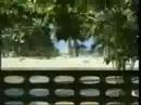 increible tsunami increible tsunami