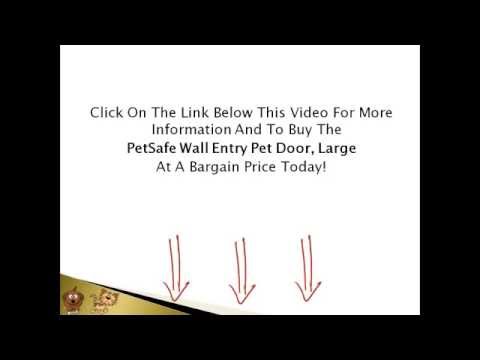 how to insulate dog door