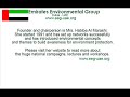 EEG-Group Dubai, United Arab Emirates