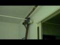 videos de teatowel.wmv