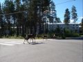 Kainuu.