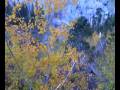 Mt. Charleston 09 October 2008 #5