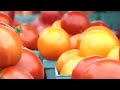 The Gourmand of Oregon\