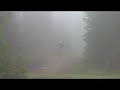 Whistler Bike Park Obsessed, Rippin the fog Whistler Bike Park Obsessed, Rippin the fog