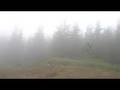 Whistler Bike Park Obsessed, Rippin the fog