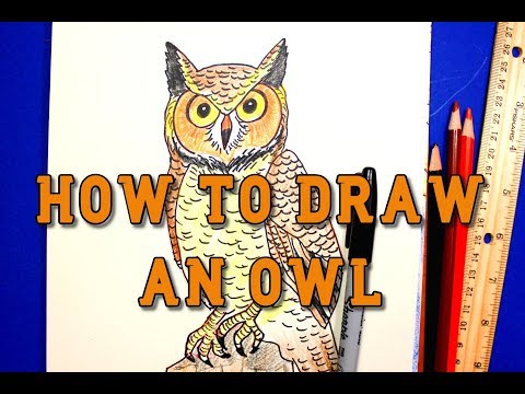 video-linktoworks-How to draw a Great Horned Owl - Step by step tutorial