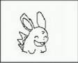 nidoran-and-nidoran-