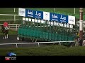 $250,000 UAE 2000 Guineas (G3), KINGLET, Feb. 9