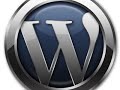 wordpress 2 .7 Step 2: Picking a URL / Your website name