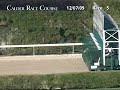 CALDER RACE COURSE, 2009-12-07, Race 5