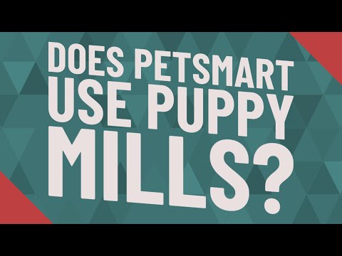 Does PetSmart use puppy mills?