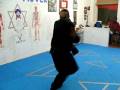videos de Seven Star Praying Mantis/WHK