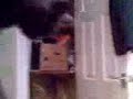 Fizz On Stairs Fizz On Stairs