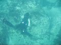 Free Diving