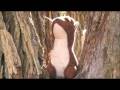 videos de Biome Tagia bloopers