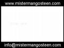 Amazing Mangosteen Information Amazing Mangosteen Information
