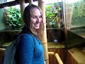 Oceanarium