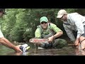 Fly Fishing for Monster Wild Bows in Georgia