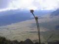 Venezuela Part 3 - Roraima