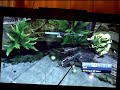 Halo 3 Ghost Gun - guns goes off on its own????