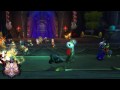 T.S.G. VS The Illidari Council