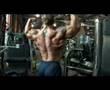 big-muscle