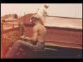 Farm Technological Progress, 1938-1958