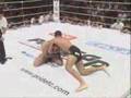 The Art of Grappling HL