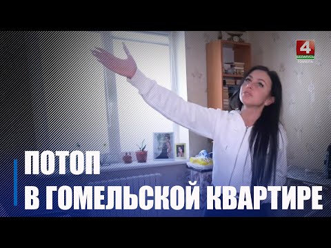 Сям'я з Гомеля паехала ў Петрыкаў, а калі вярнулася ў кватэры видео