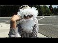 The Crosswalk