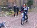 Bikejoring DWB - Baltic cup