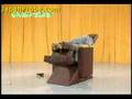 videos de Assurda Poltrona Anti Stress dal Giappone