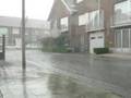 Regenval Groot- Dilbeek
