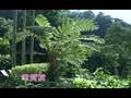 TMAC TV-台灣宏觀電視- 烏來雲仙樂園