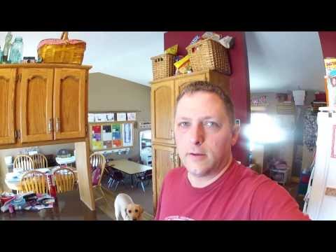 how to run a dishwasher